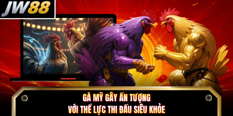 Gà Mỹ gây ấn tượng với thể lực thi đấu siêu khỏe