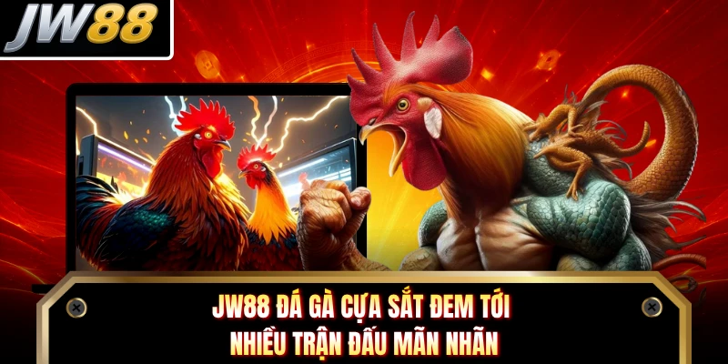 JW88 đá gà cựa sắt đem tới nhiều trận đấu mãn nhãn