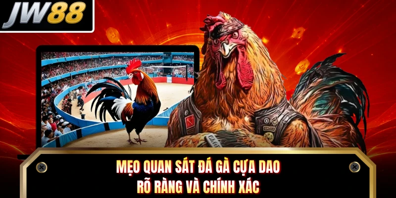Mẹo quan sát đá gà cựa dao rõ ràng và chính xác